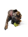 Full Lowie.webp