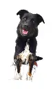 Zoe full.webp