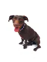 Chica Full.webp
