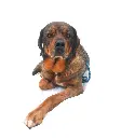 Georgia full.webp
