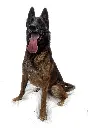 IMG-20250821-WA0170-Edit.webp