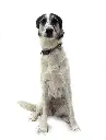 IMG-20250821-WA0155.webp