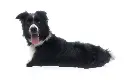 IMG-20250821-WA0058-Edit.webp