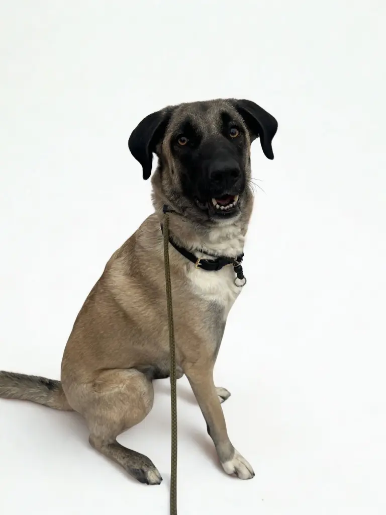 WhatsApp Image 2025-11-24 at 6.02.29 PM - Bewerkt.webp