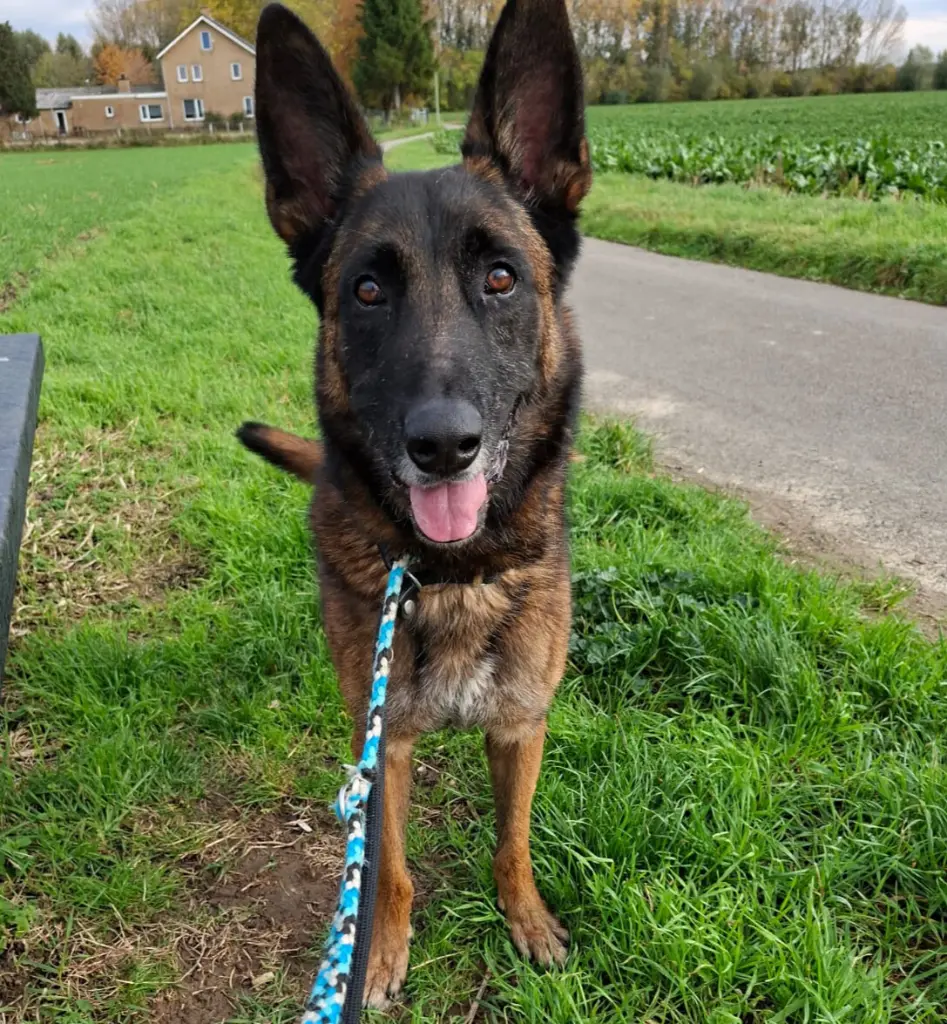 WhatsApp Image 2025-11-27 at 8.47.53 PM - Bewerkt.webp