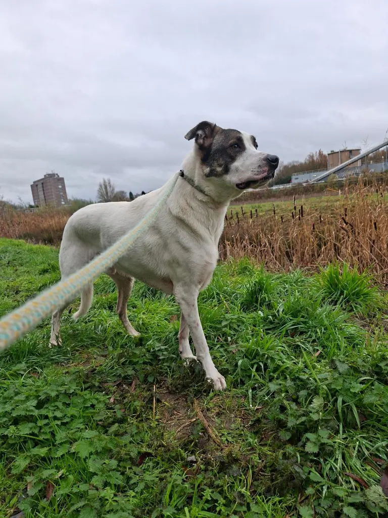 WhatsApp Image 2025-11-30 at 23.22.01 (1).webp