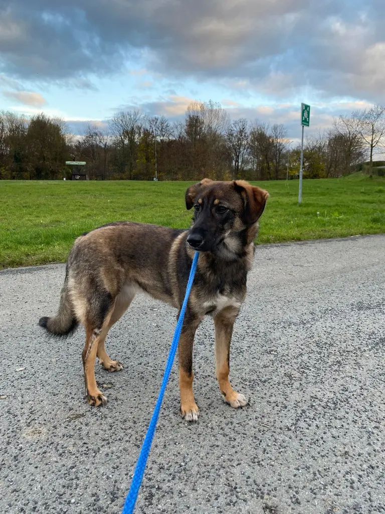 WhatsApp Image 2025-11-30 at 23.22.15.webp