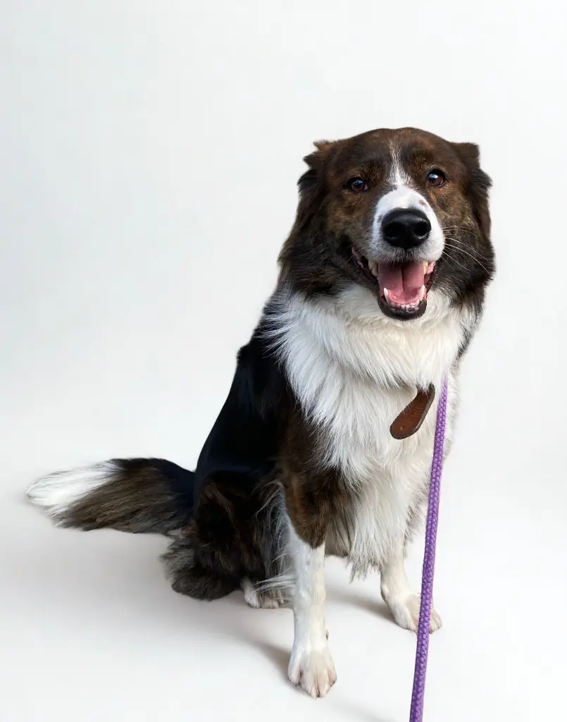 WhatsApp Image 2025-11-30 at 23.22.59 (1).webp