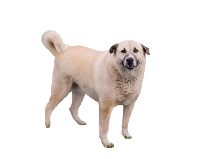 WhatsApp Image 2025-11-30 at 12.54.11 PM (1) - Bewerkt.webp