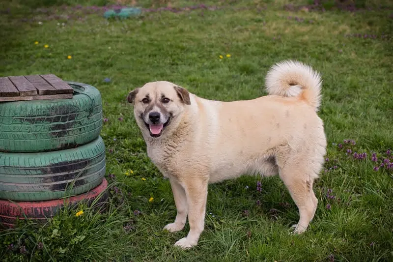 WhatsApp Image 2025-11-30 at 12.54.11 PM (2).webp