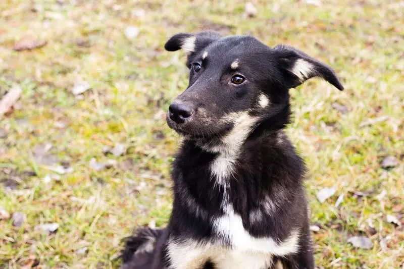 WhatsApp Image 2025-11-30 at 3.09.11 PM (1).webp