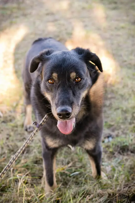 WhatsApp Image 2025-11-30 at 3.13.39 PM.webp