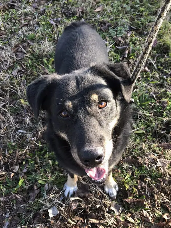 WhatsApp Image 2025-11-30 at 3.13.38 PM.webp