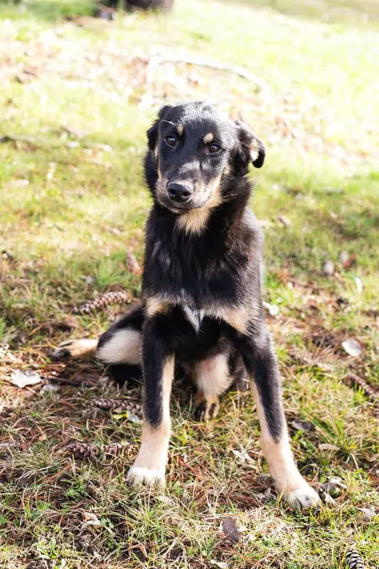 WhatsApp Image 2025-11-30 at 3.13.39 PM (1).webp