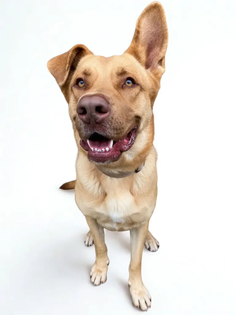 WhatsApp Image 2025-12-11 at 10.56.57 PM (1).webp