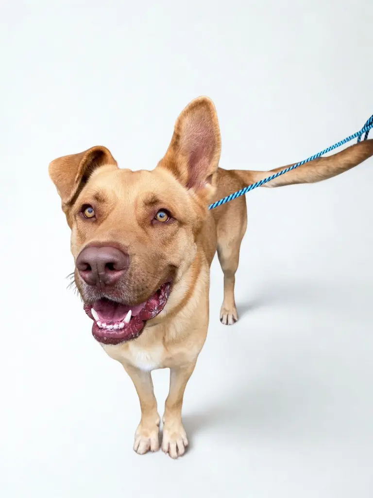 WhatsApp Image 2025-12-11 at 10.56.57 PM (2).webp