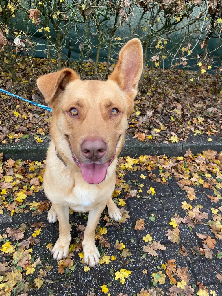 WhatsApp Image 2025-12-11 at 10.56.58 PM.webp