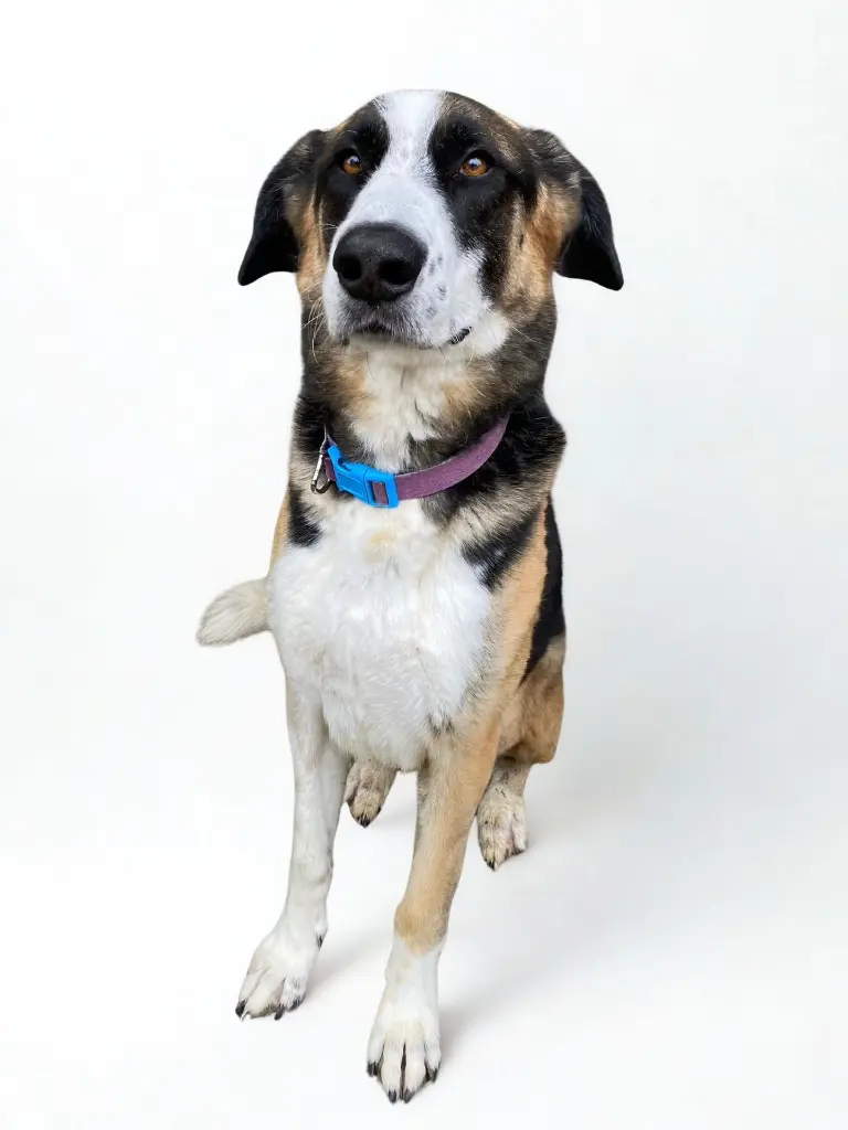 WhatsApp Image 2025-12-11 at 10.56.51 PM (1).webp