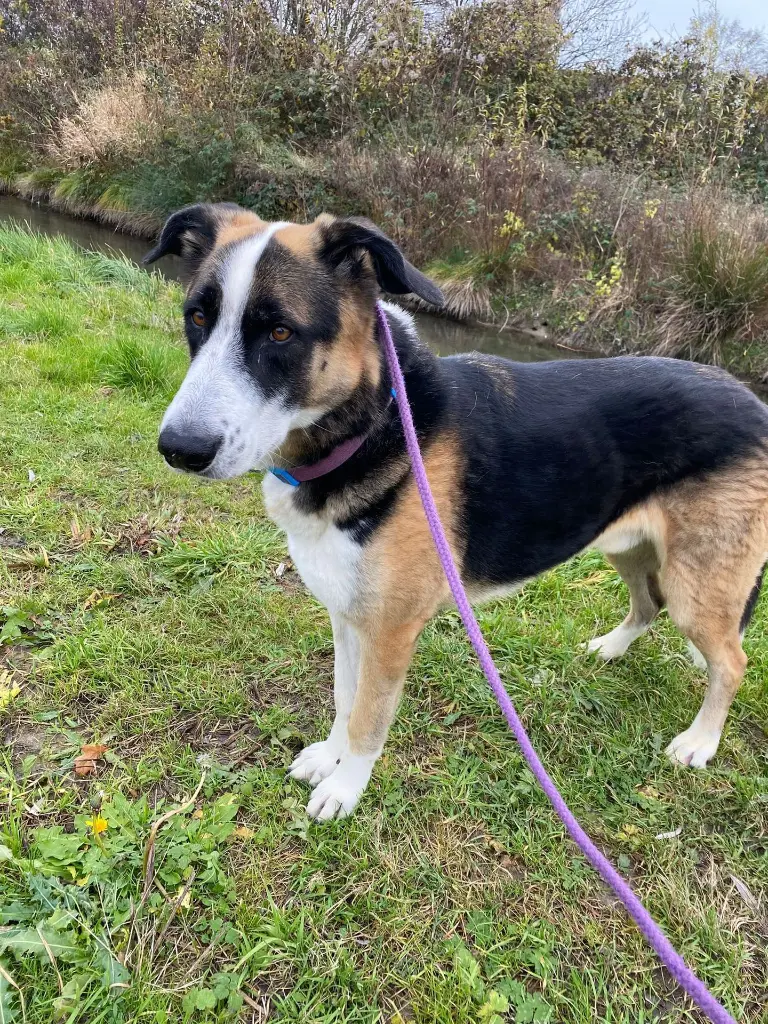 WhatsApp Image 2025-12-11 at 10.56.51 PM (3).webp