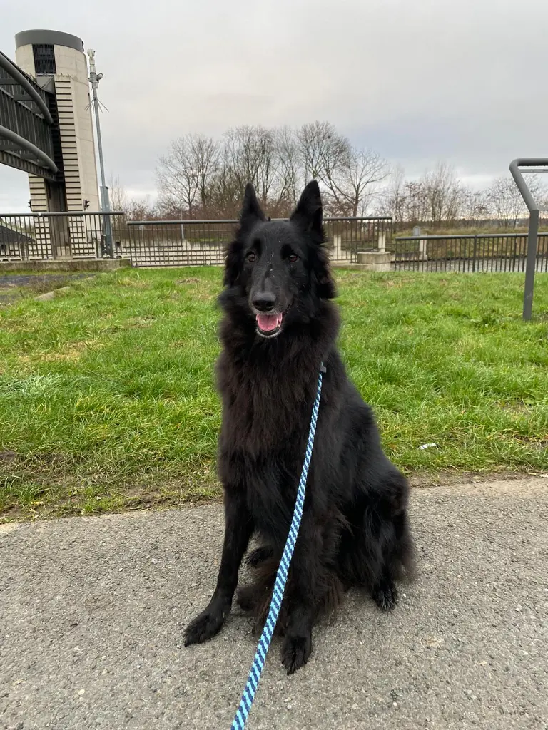 WhatsApp Image 2025-12-14 at 10.04.53 AM (1).webp