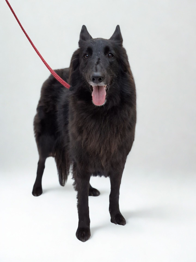 7e6f4e98-322e-4b25-928a-1a0866deb611 - Bewerkt.webp