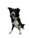 Lars full.webp