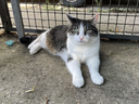 charlie04.webp