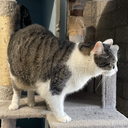charlie04.webp
