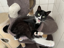 charlie01.webp