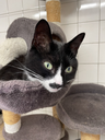 charlie03.webp