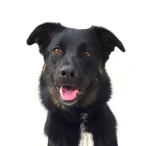 Zoë